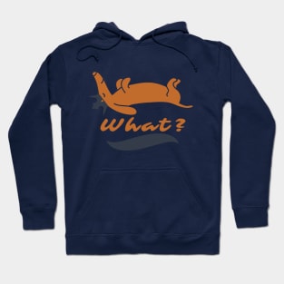 Dachshund king dog relaxing Hoodie